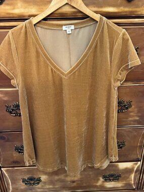 Dylan Velvet V-Neck Tee Tan Short Sleeve Soft Stretch Top Small